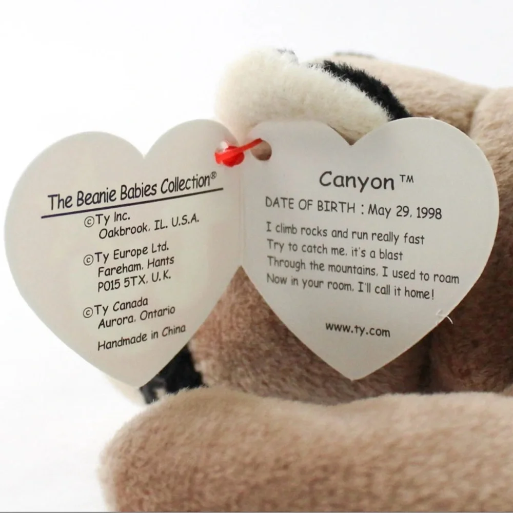 TY Beanie Baby Canyon 1998 Brown Cougar Cat Plush Doll Toy NEW